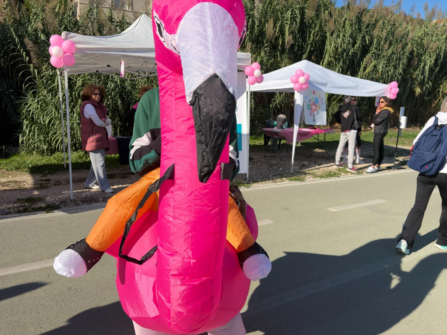 Entertainment along the Pink Parade route