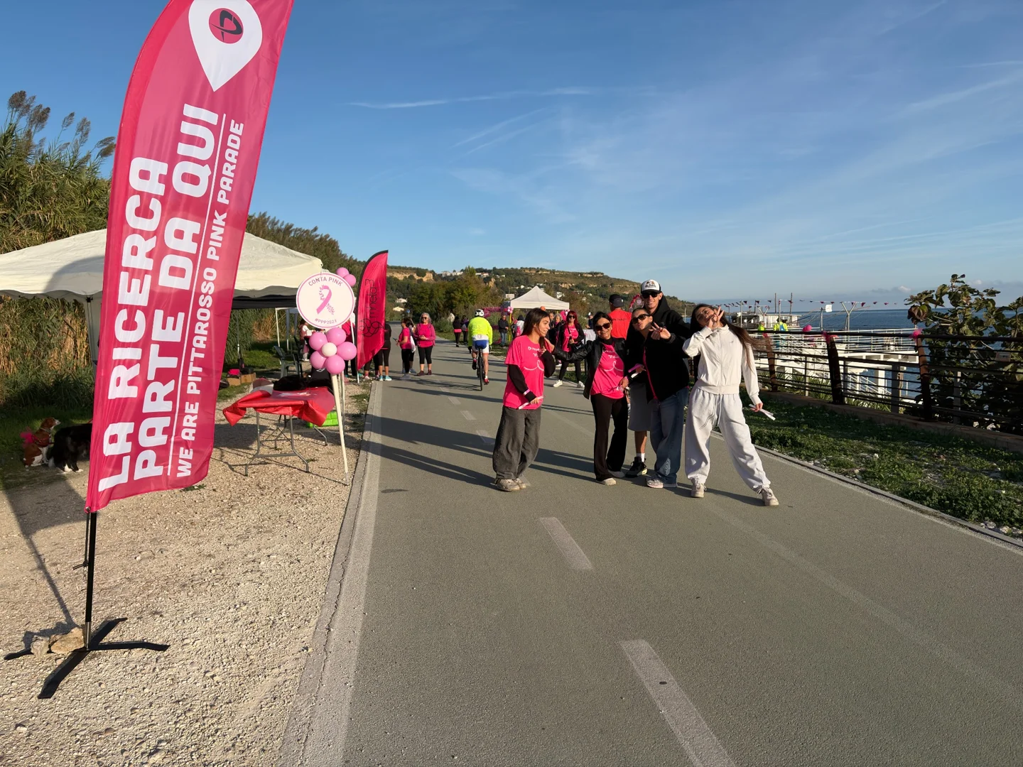 Participants and the ledirettedellesette flag