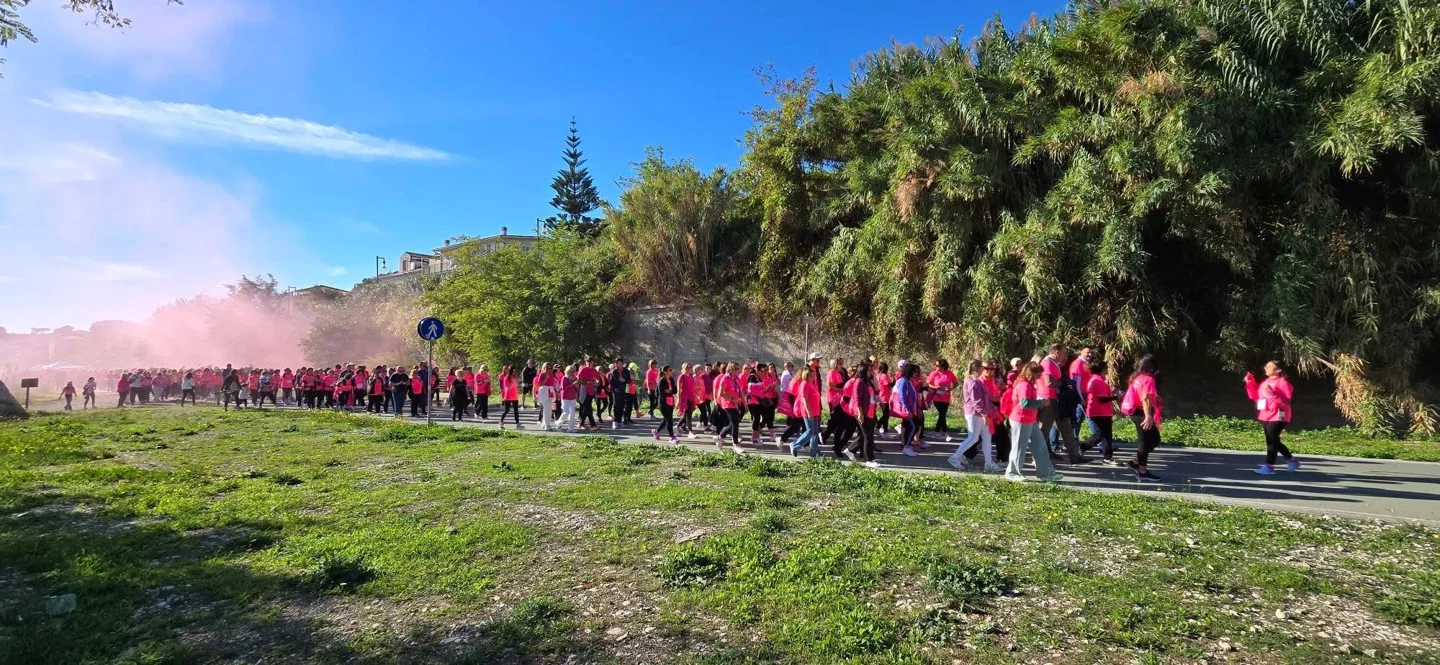 The pink procession on the Via Verde